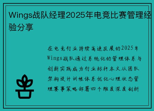 Wings战队经理2025年电竞比赛管理经验分享