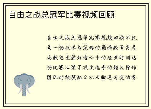自由之战总冠军比赛视频回顾